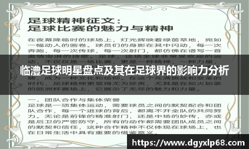 临澧足球明星盘点及其在足球界的影响力分析